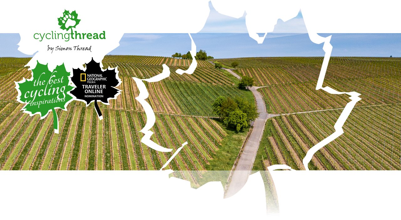 Vineyards near Volkach in&nbsp;Franconia