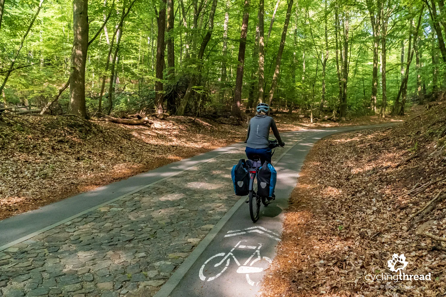 2 minus 1 road in Wolin National Park