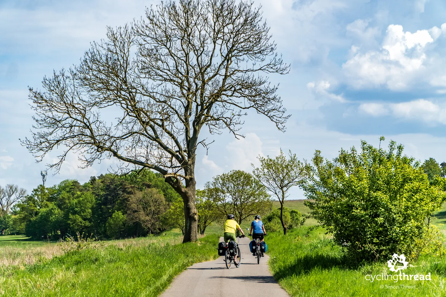 Bike path outside the town of Usedom on Usedom Island