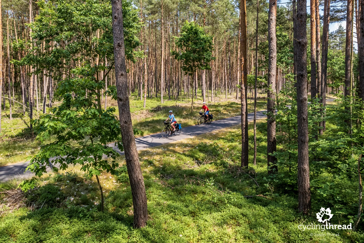 Bike route through the Schorfheide-Chorin Forest