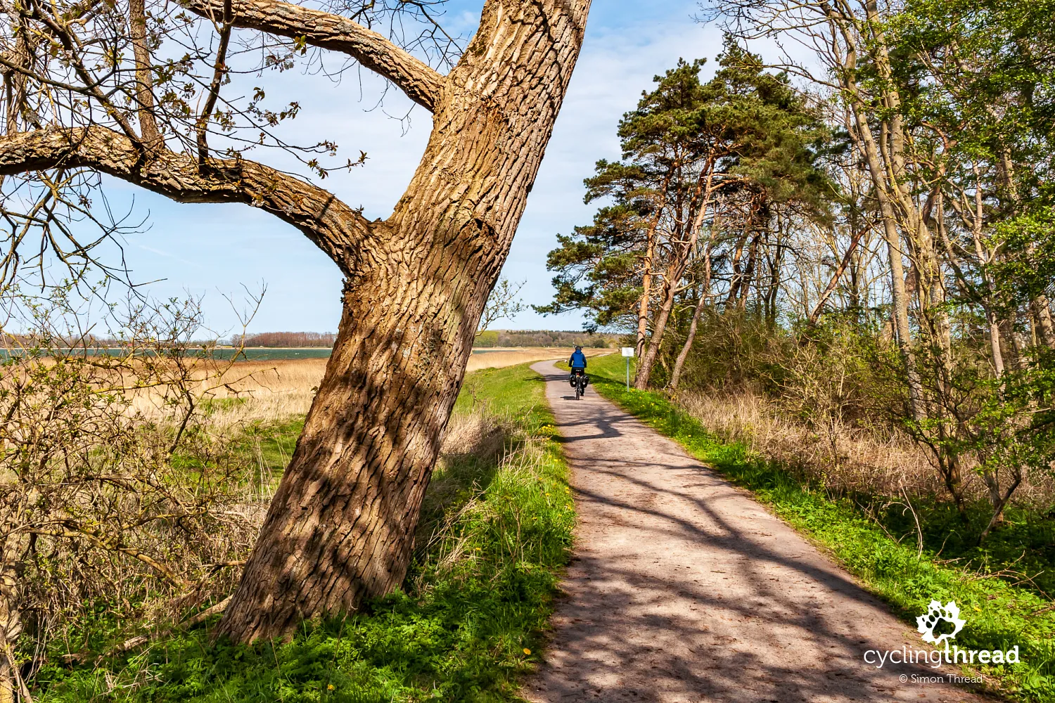 Biking atmosphere by Baltic Sea
