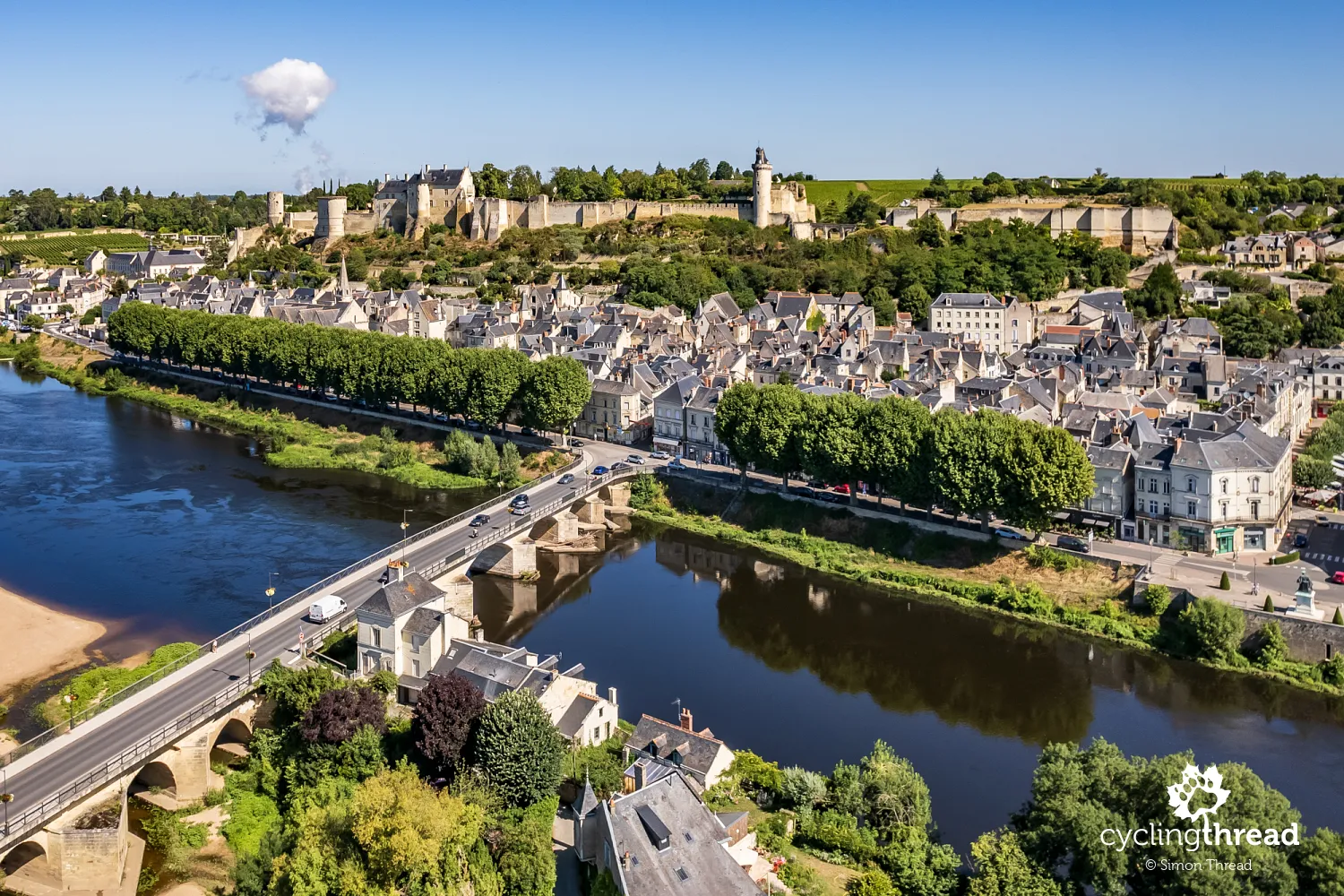 Chinon town and fortress on the Vienne river
