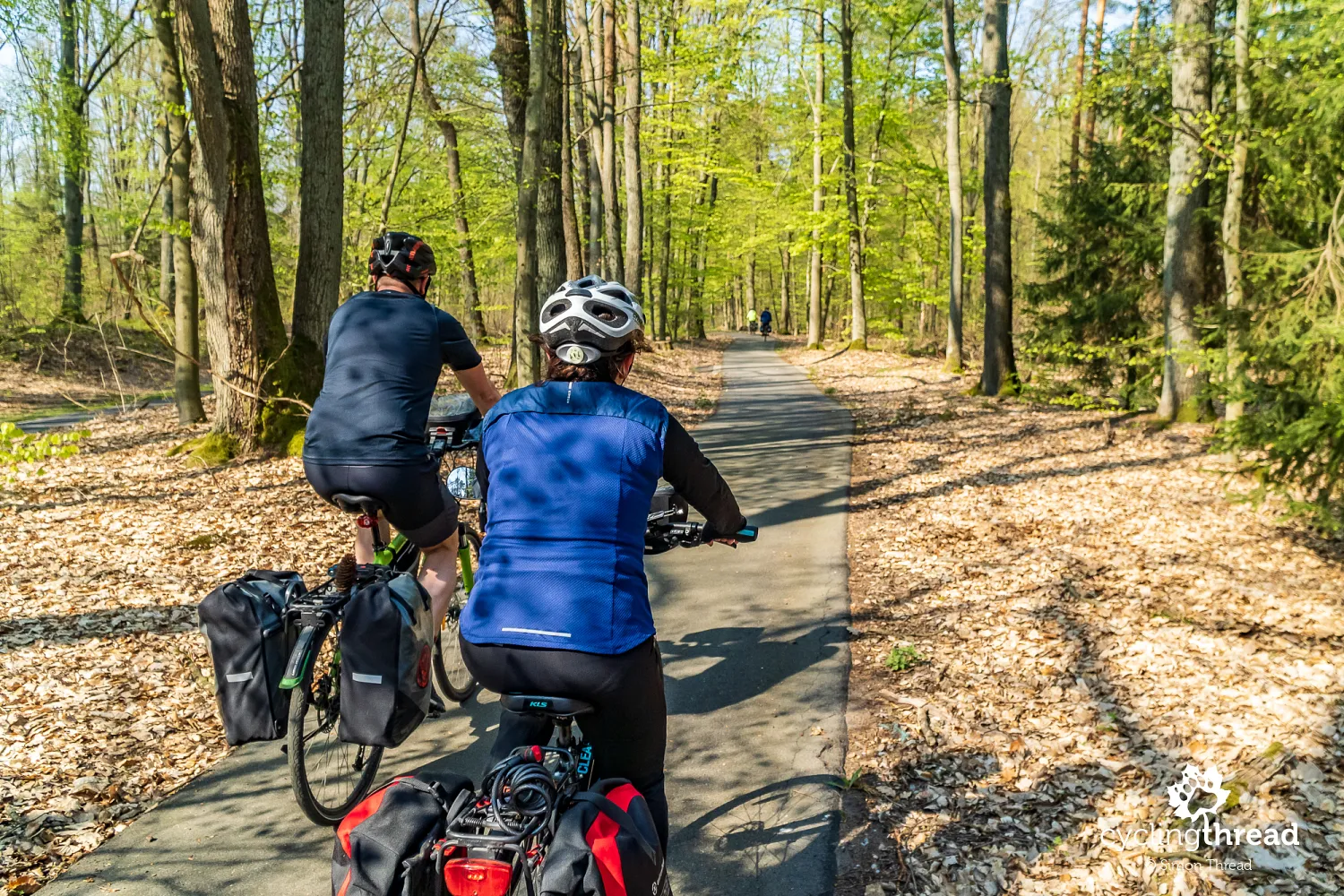 Comfortable cycling roads in Brandenburg