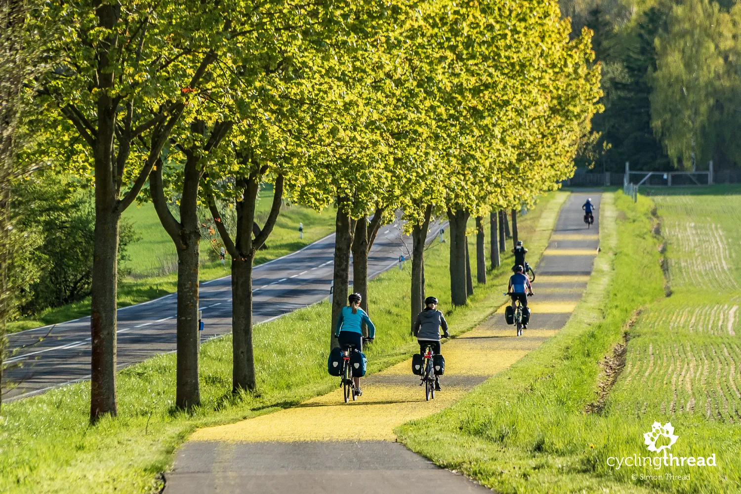 Cycling road in Brandenburg