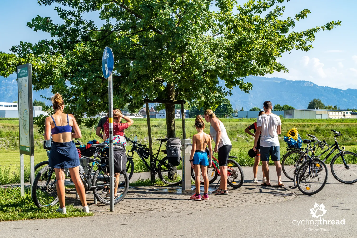 Cycling route along the Rhine