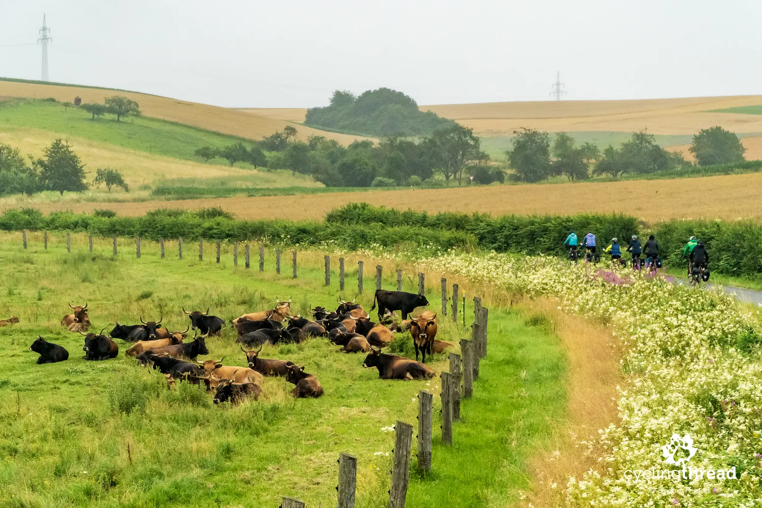 The cycling route’s start near Altenstadt