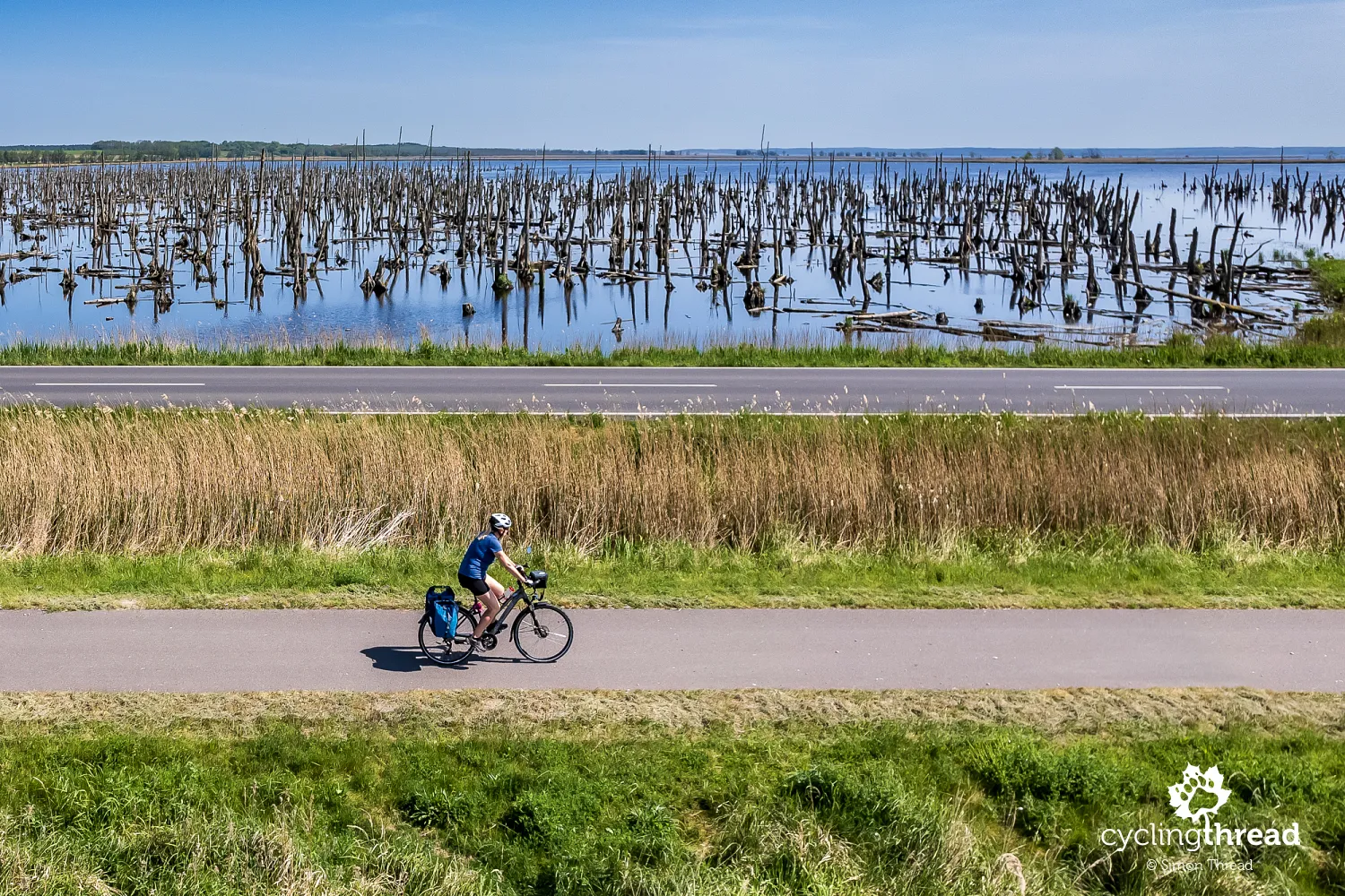 The dead forest in the Peene Valley in Germany