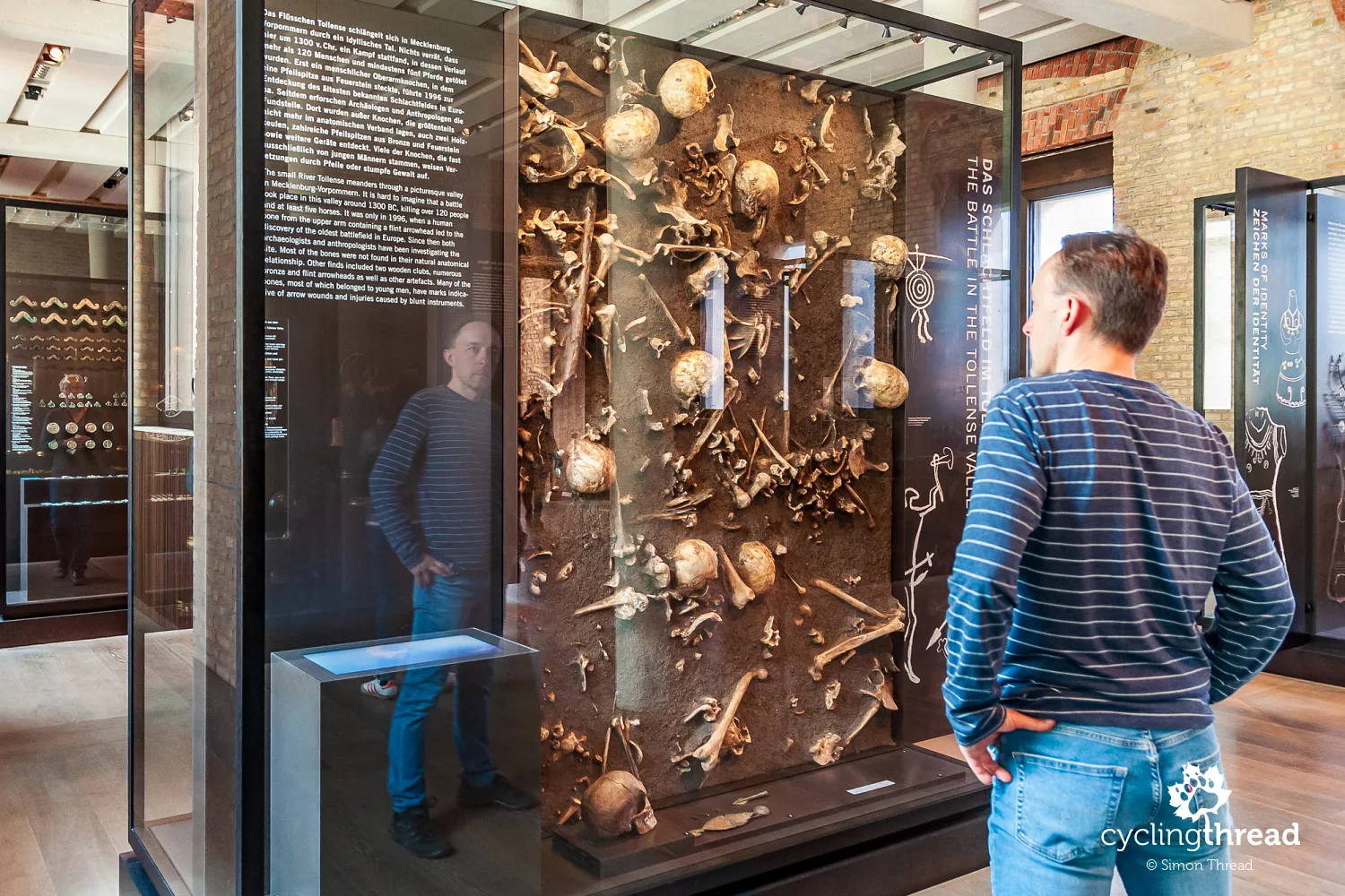 The display case dedicated to the Battle of the Tollense River