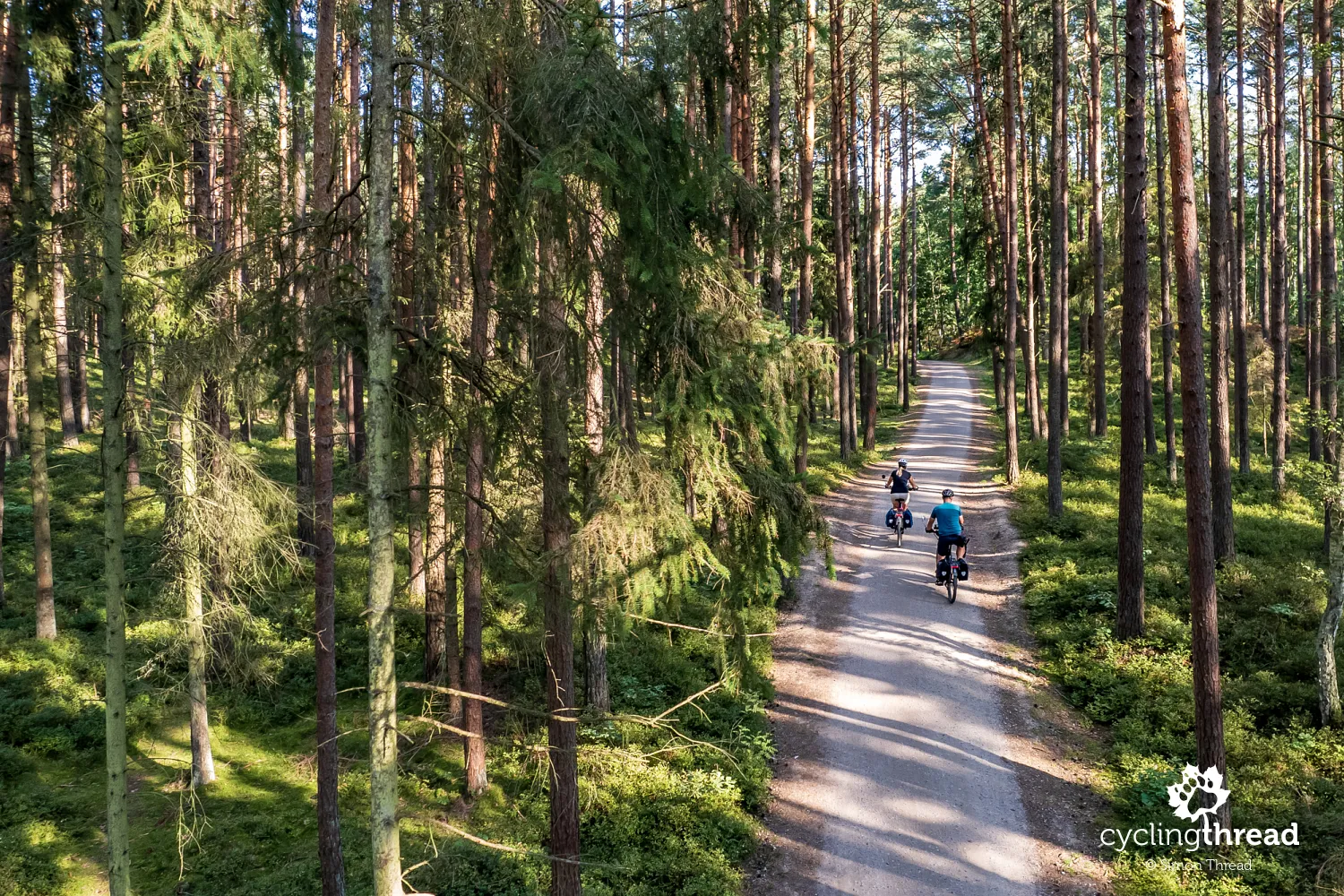 EuroVelo 10 route in the forest before Dębki