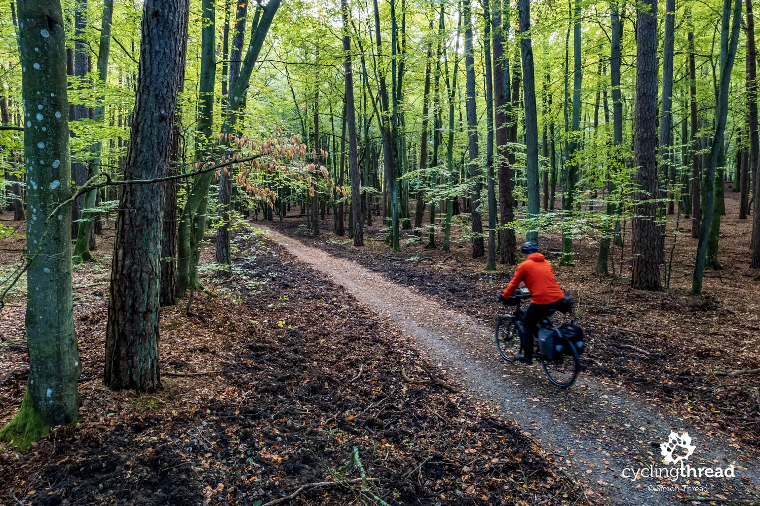 The EuroVelo 10 route through the Wolin National Park