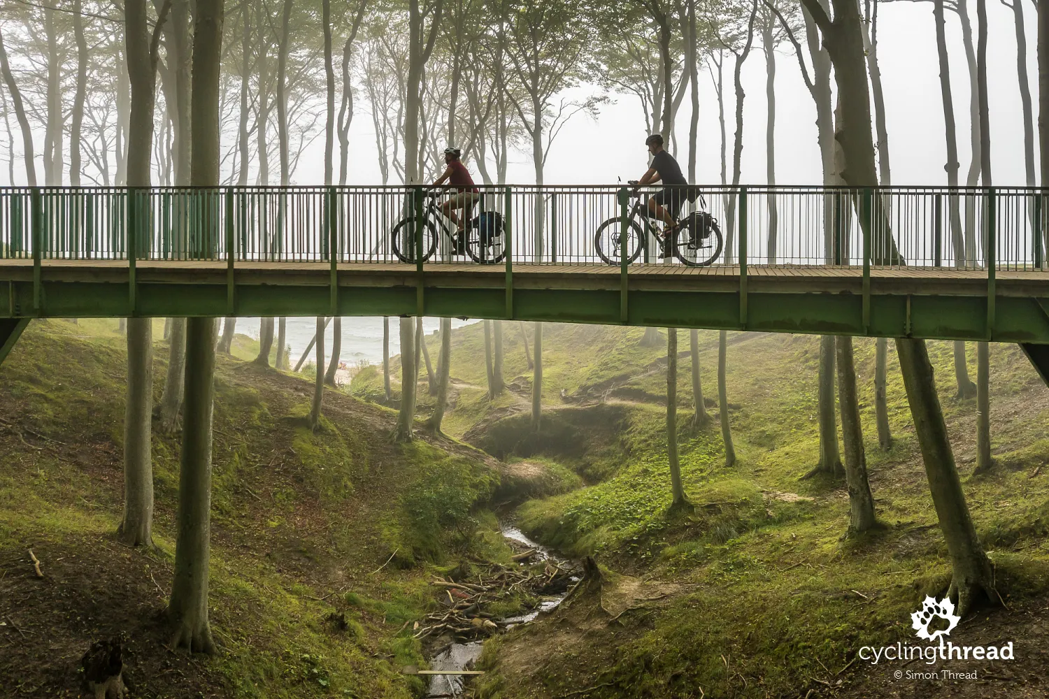 Footbridge over the ravine in Poddąbie in the fog