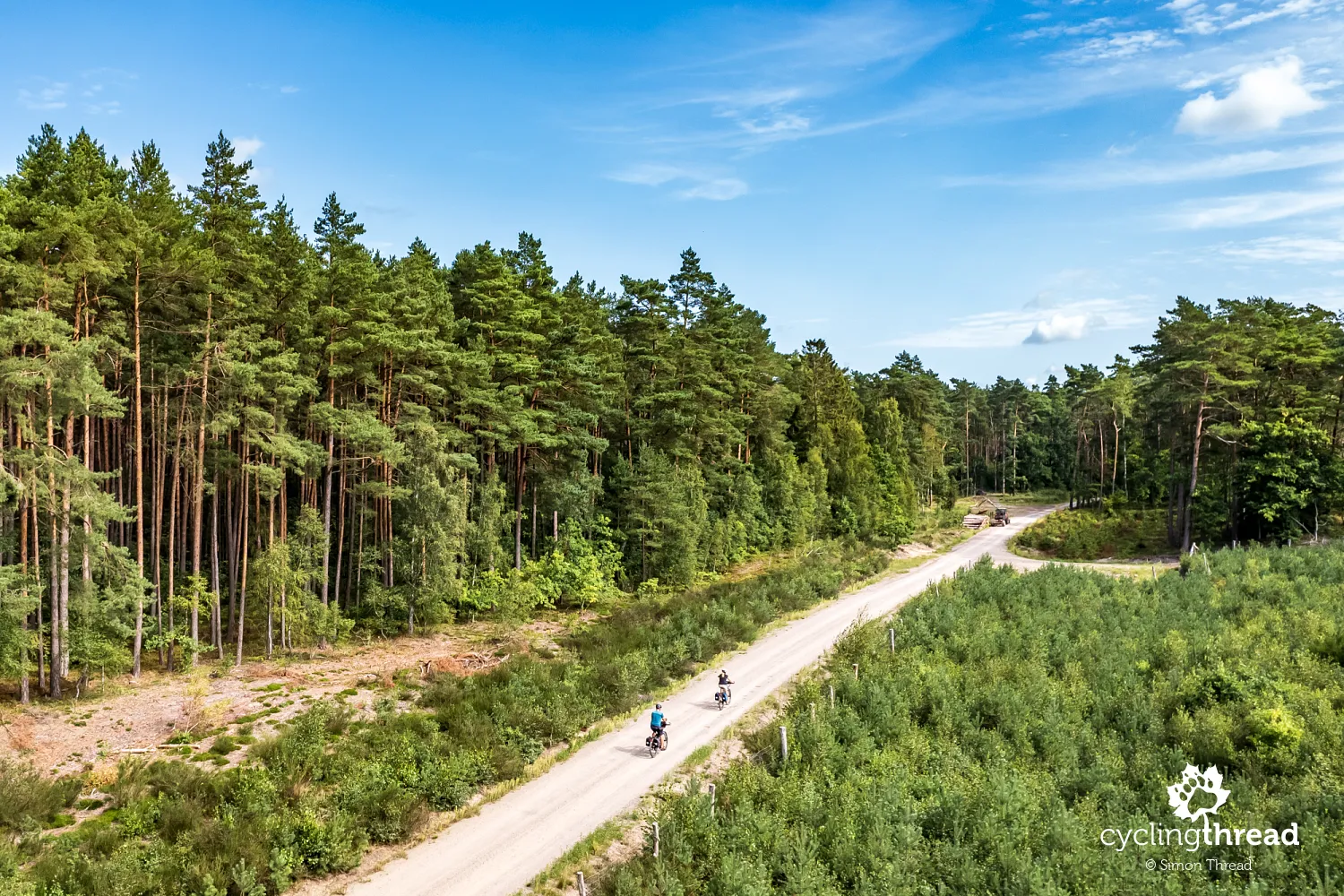 Forest gravel road south of Lake Sarbsko