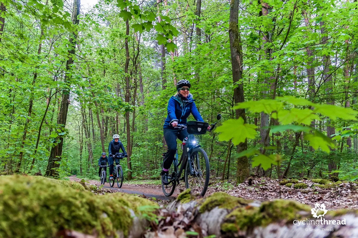 A forested section of the Berlin Wall cycling route