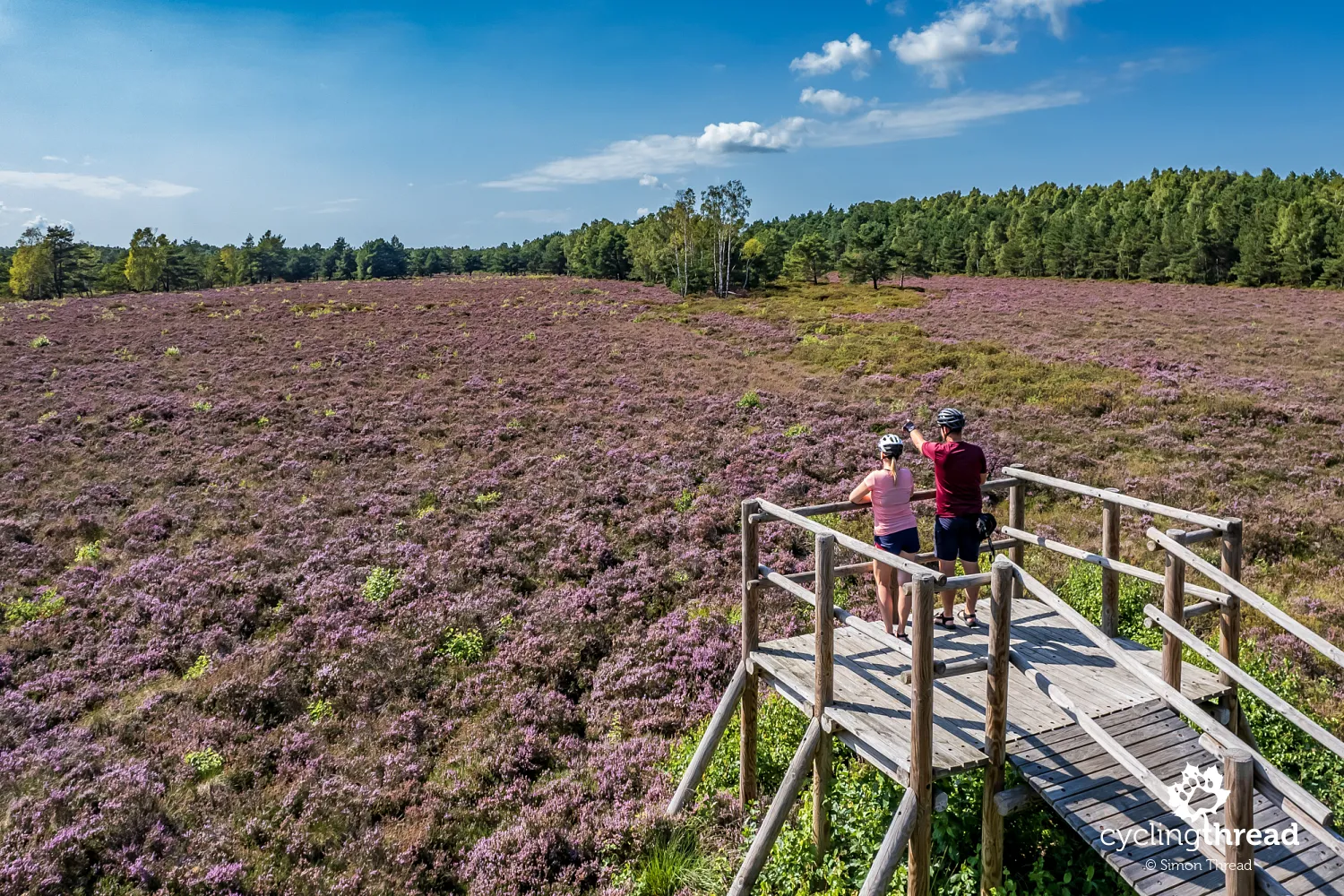 Izbica Marshes - peat bog before Izbica