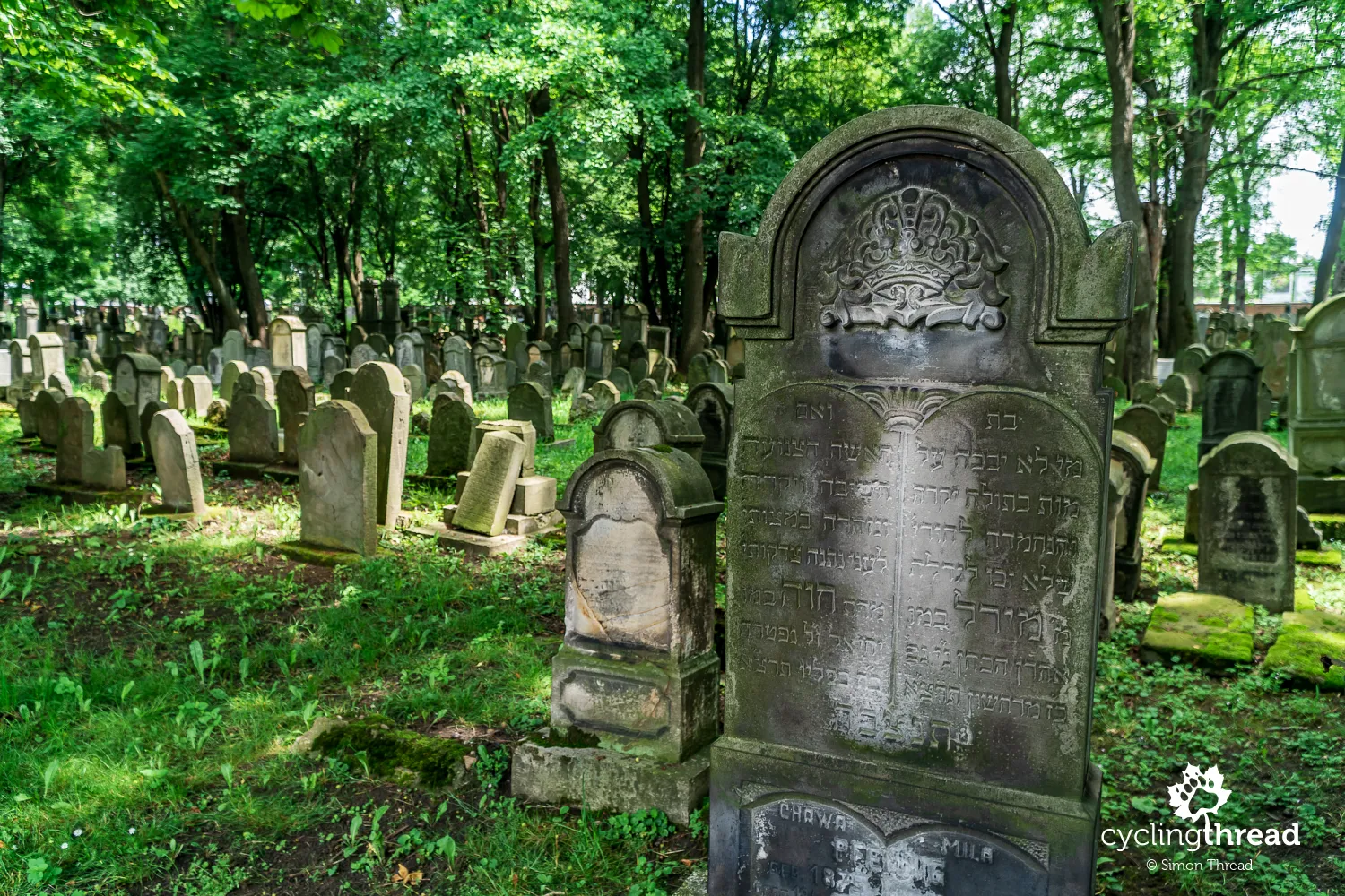 The Jewish cemetery in Tarnow