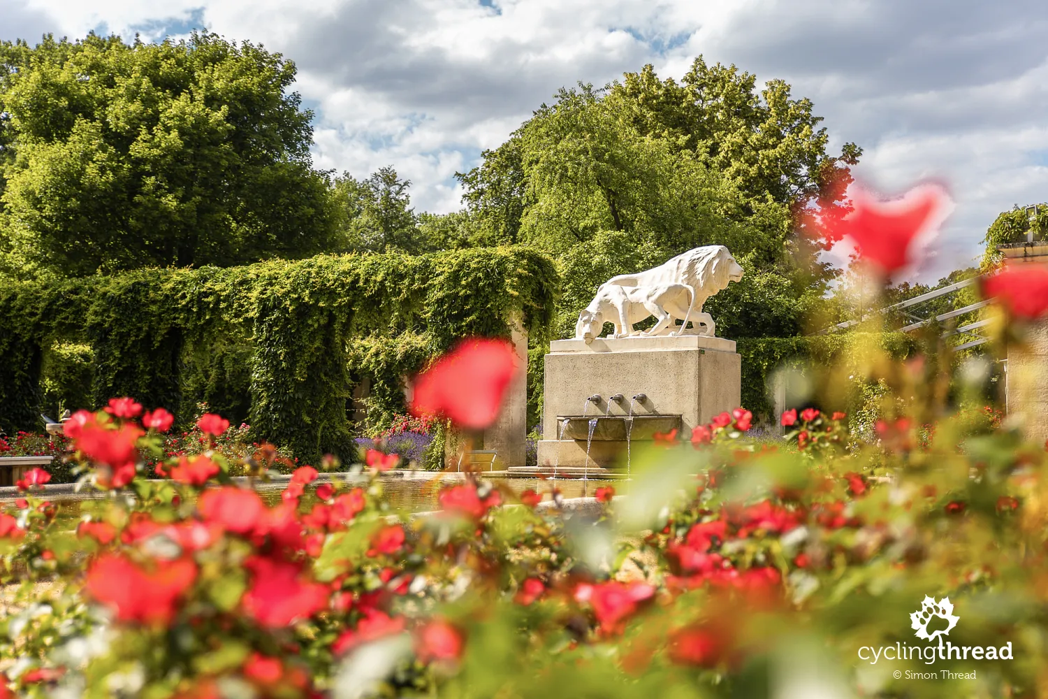 Lions at the East German Rose Garden in Forst