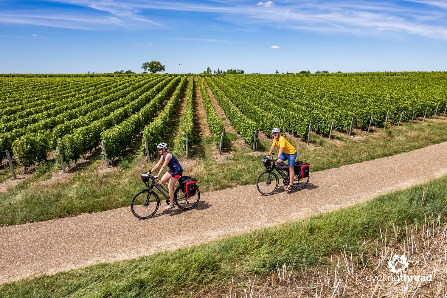 Loire Valley cycle route through the vineyards