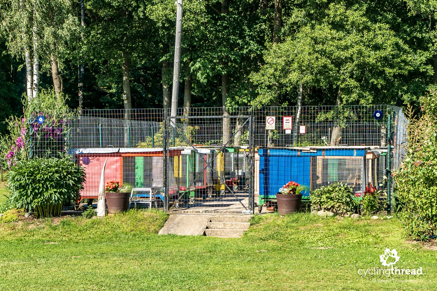 Marmot farm in Latvia