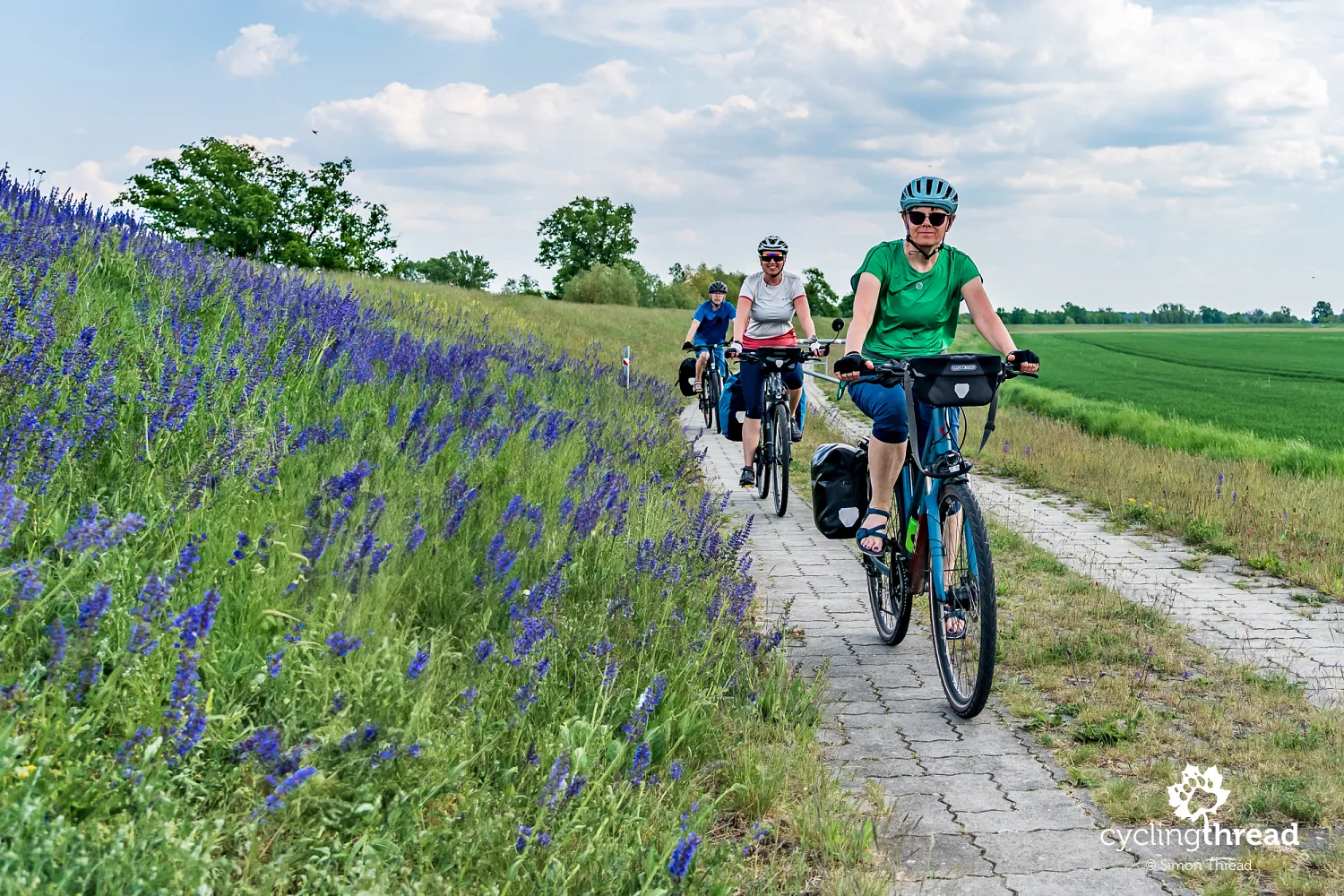 Mix of roads and surfaces of Elberadweg
