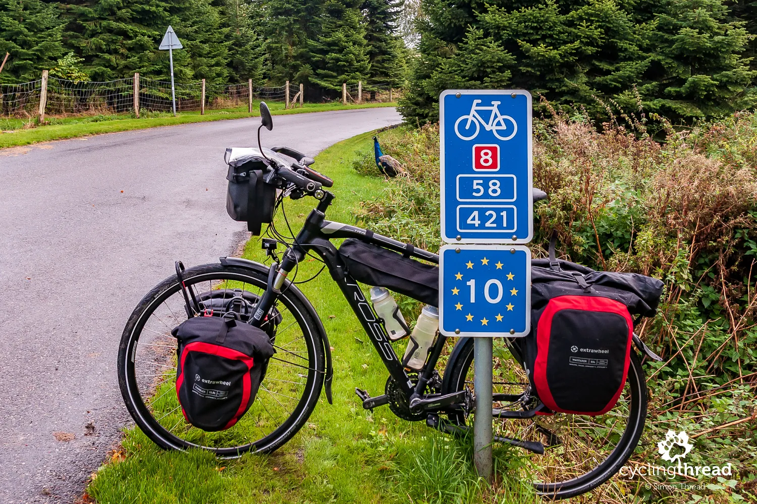 Peacocks on the EuroVelo 10 Cycling Route
