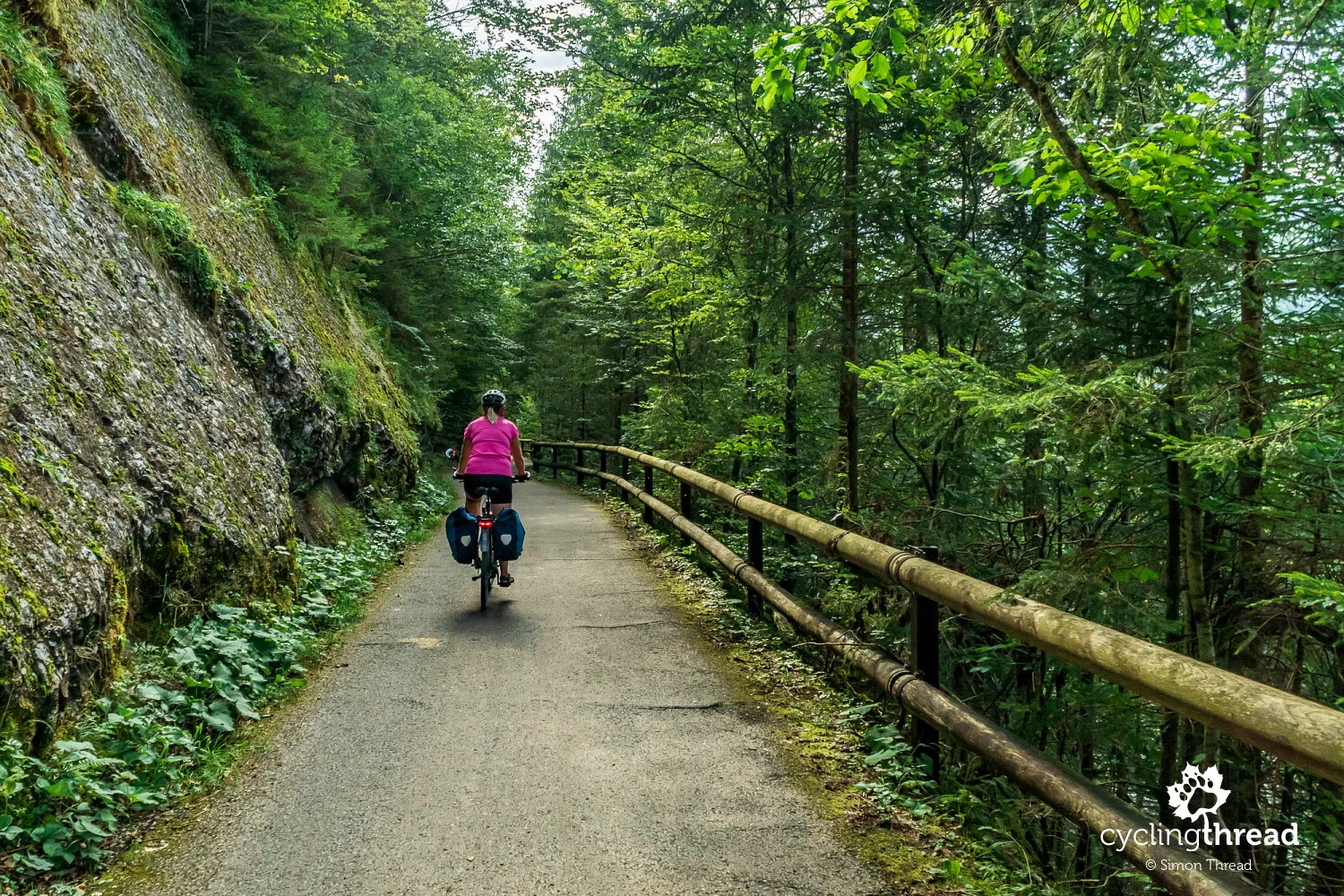 Road through dense forest along the Bregenzer Ach