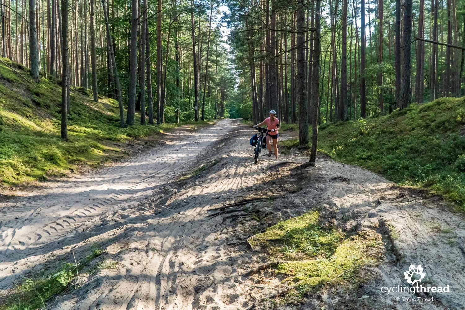Sand on the EuroVelo 10 route near Żarnowska