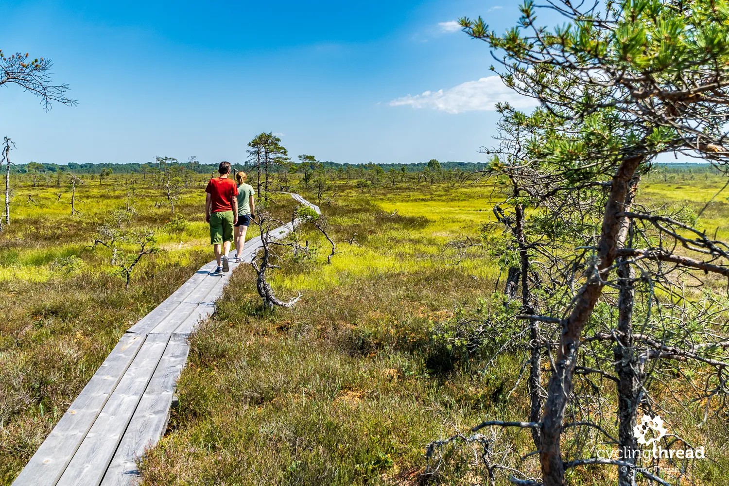 Stiklu Purvi - Latvia’s largest peat bog
