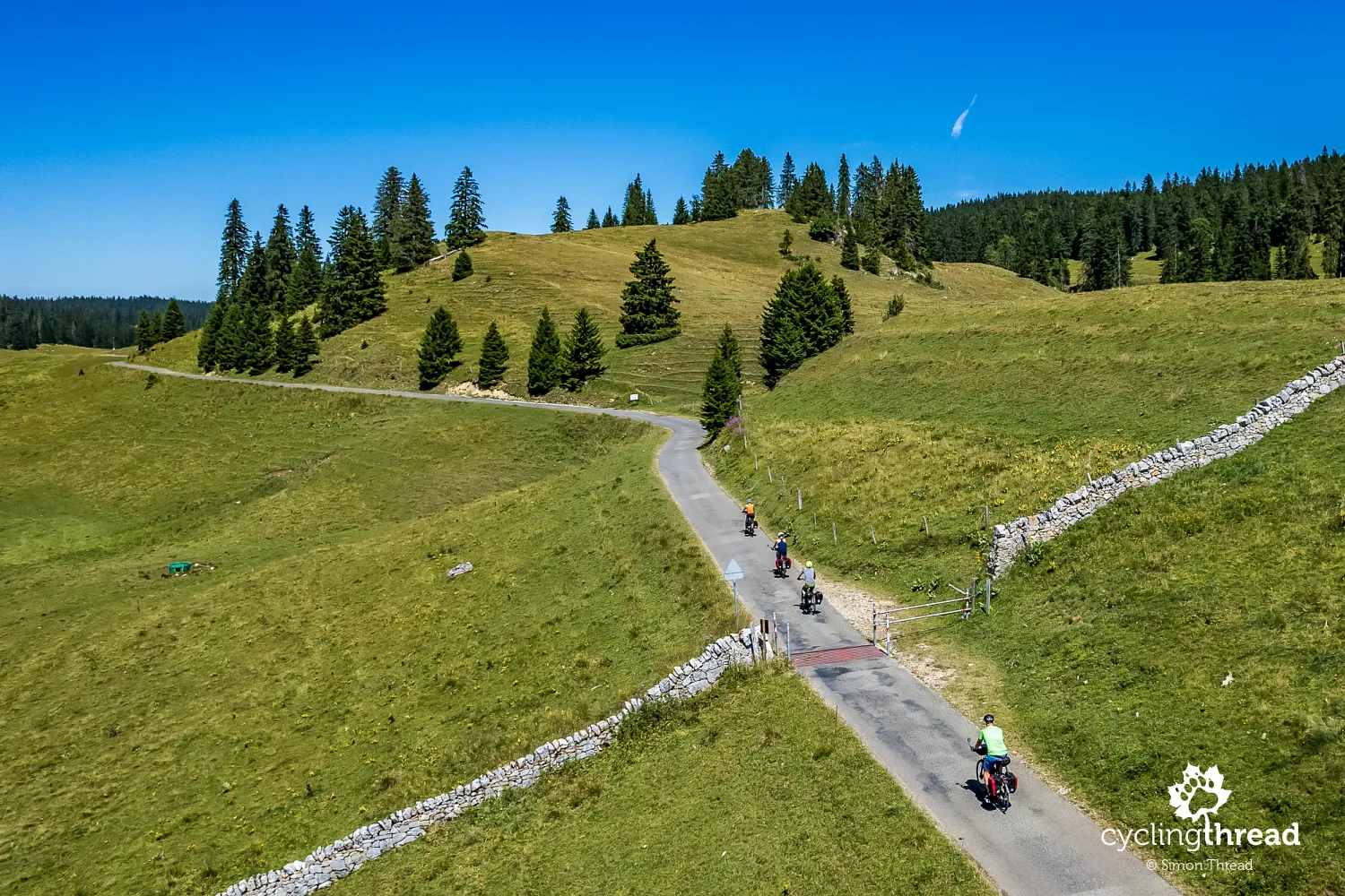 Stone walls in the Swiss Jura