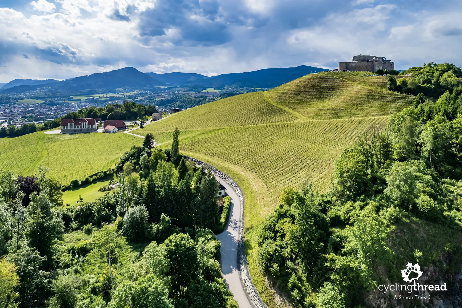 The Taggenbrunn vineyard in Carinthia