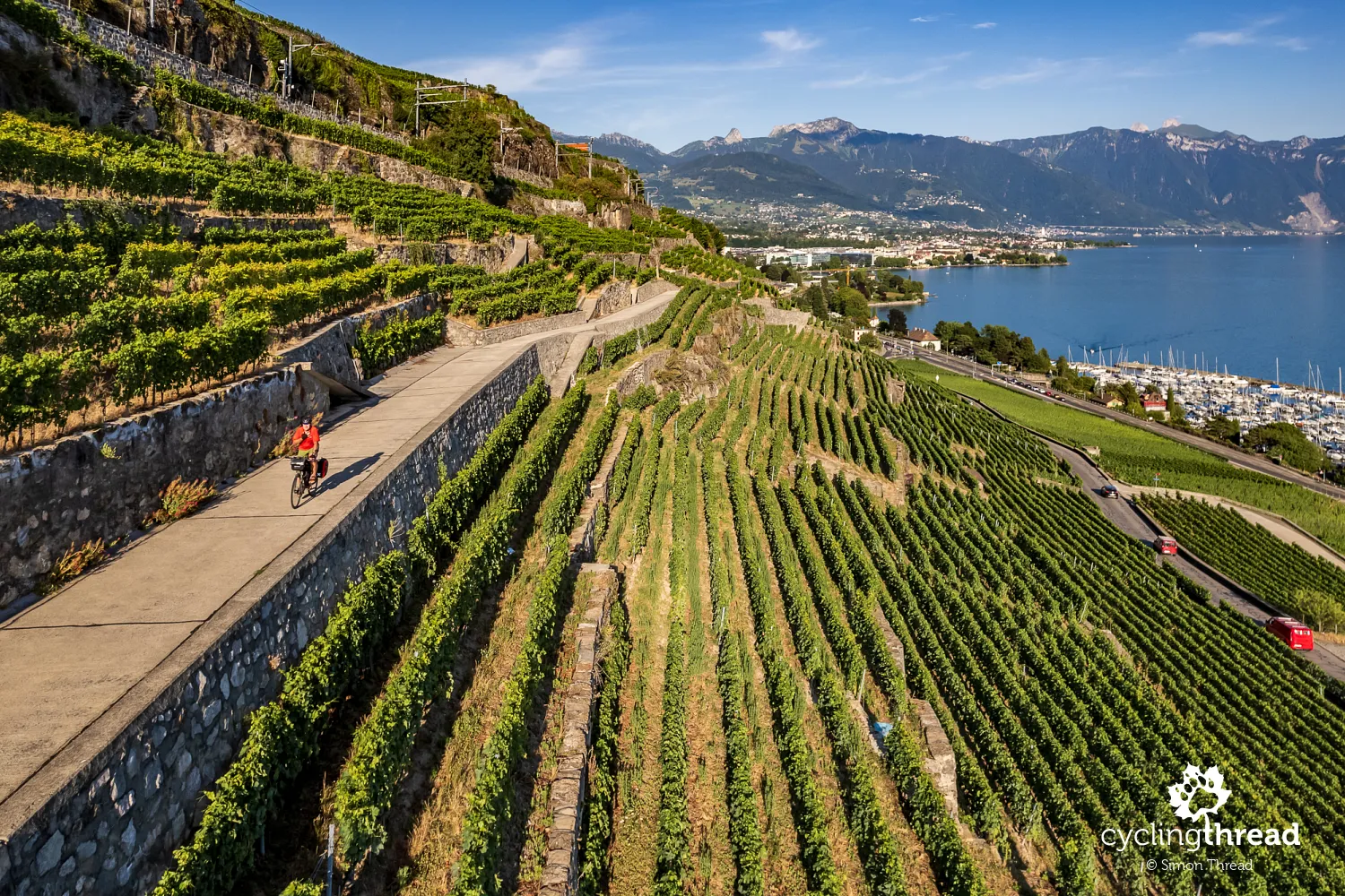 Terraced vineyards of Lavaux in Switzerland