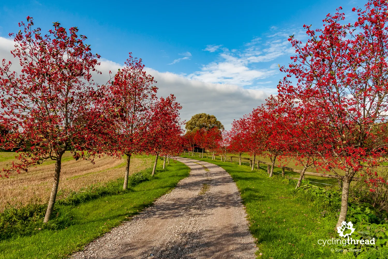 The vicinity of Gedser on the island of Falster