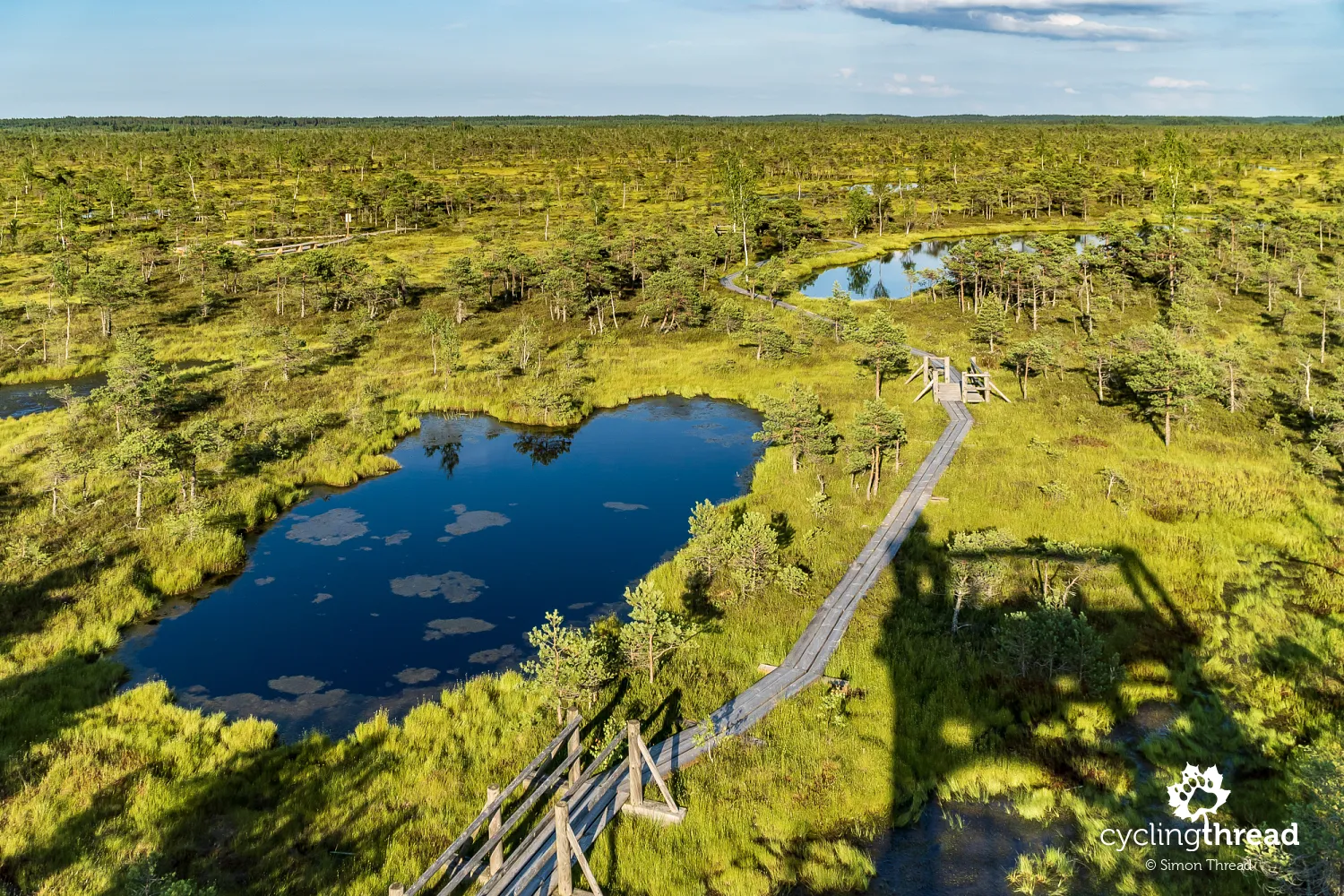 View from the tower in Ķemeri National Park