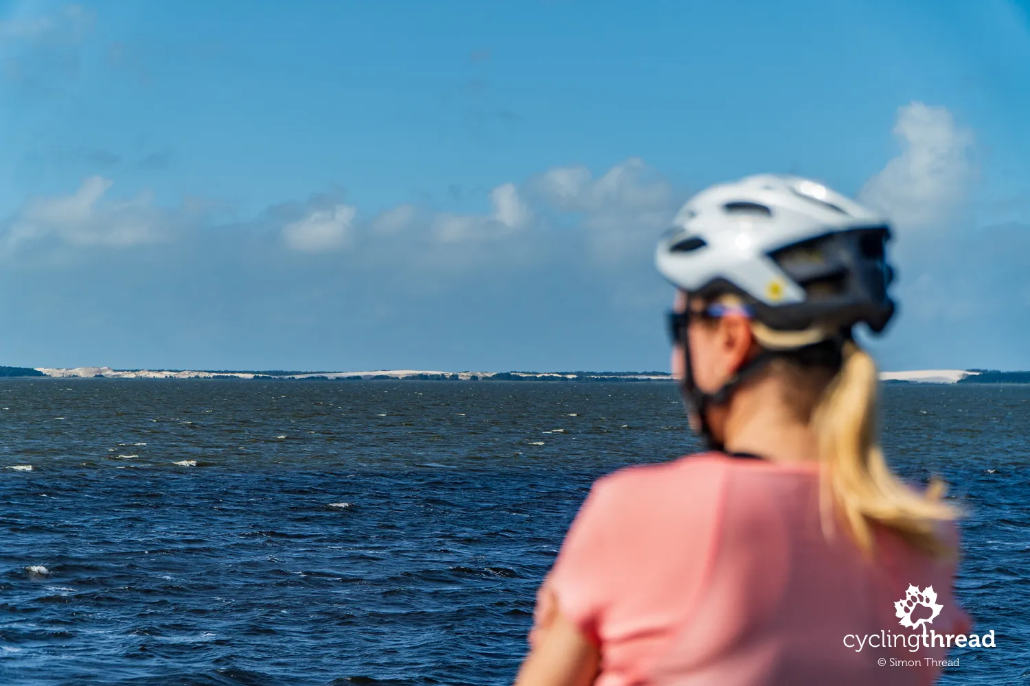 View of the shifting dunes from Lake Łebsko