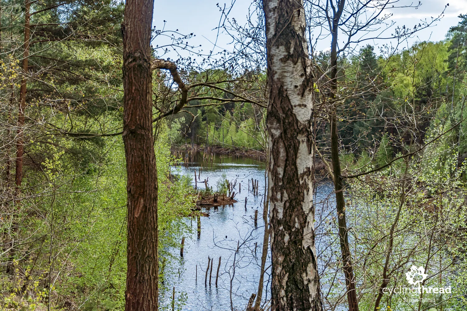A weathering trench in the Muskau Arch