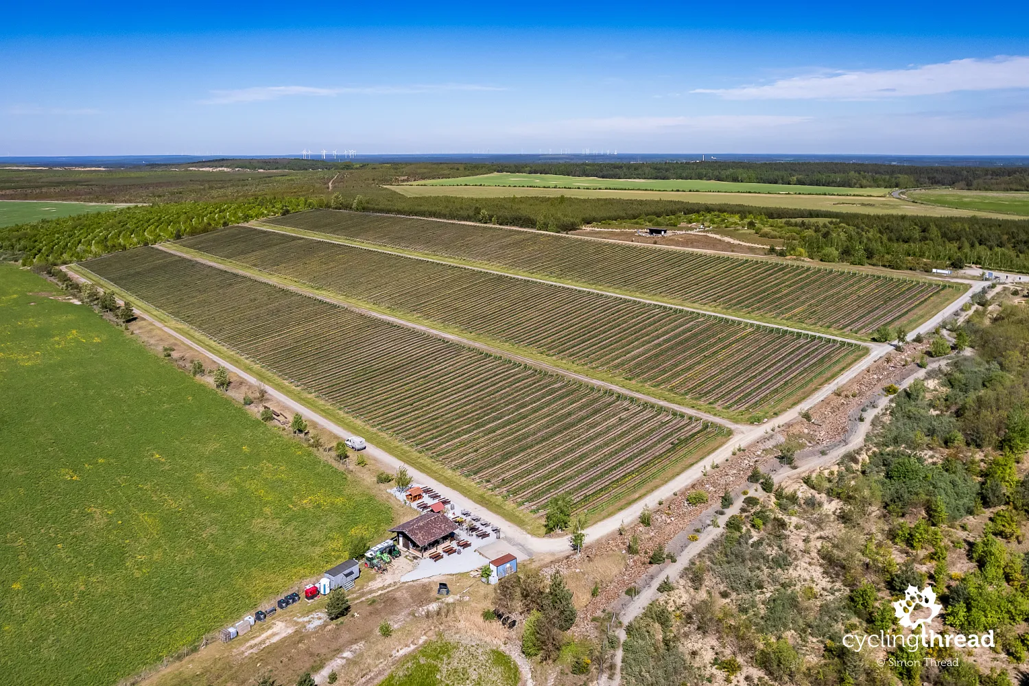 Wolkenberg Vineyard in the Lusatian Lakeland