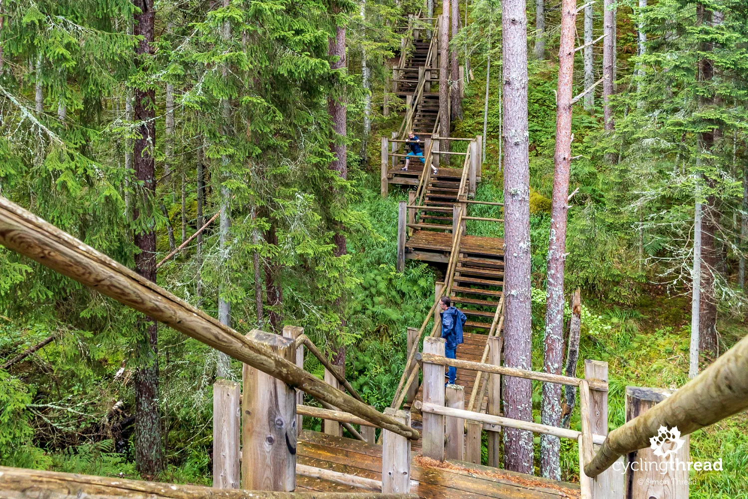 Wooden boardwalks and steps in Slītere National Park