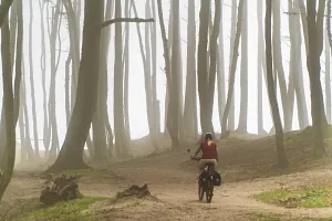 Advection fog over the&nbsp;Baltic Sea