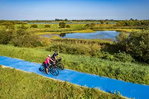 Blue bike path along the&nbsp;Vistula