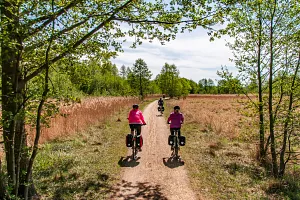 Cycling route in&nbsp;the&nbsp;Müritz National Park