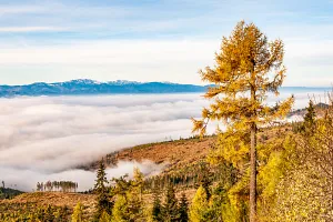 Mists over the&nbsp;Liptov Basin
