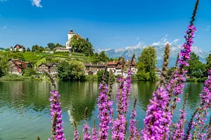 Werdenberg castle in&nbsp;the&nbsp;Rhine Valley